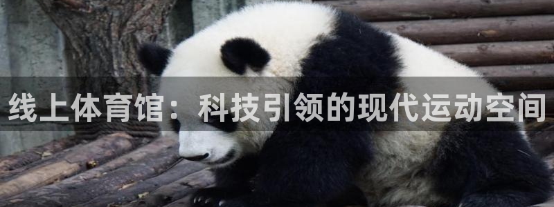 尊龙人生就是博i可靠吗