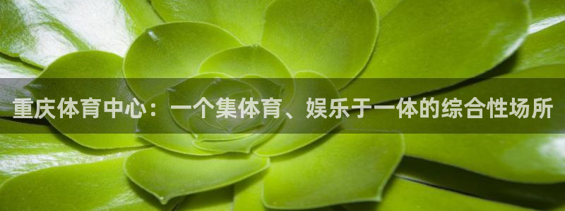 尊龙凯时人生就是博·(中国)官网官