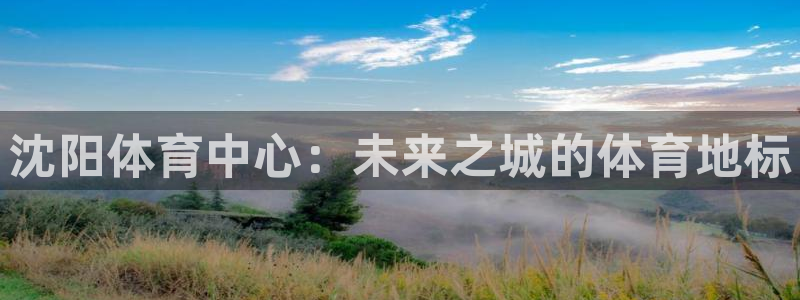 尊龙凯时输了100万