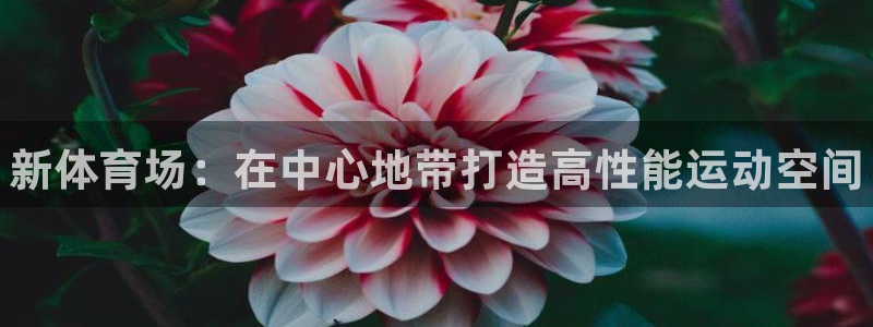 尊龙人生就是博送38