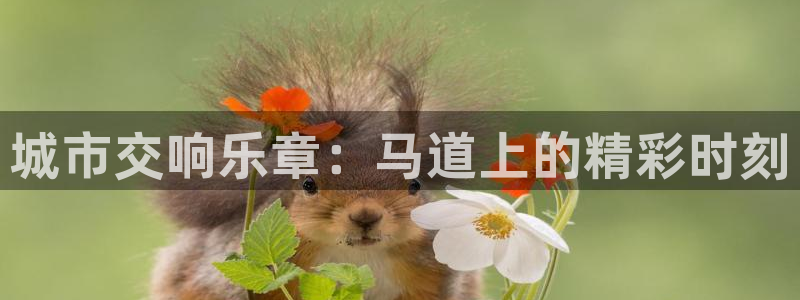 凯时k66会员登录